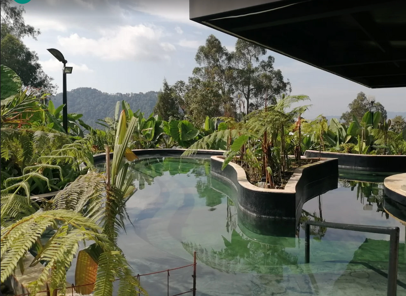 Tour Nevado del Ruiz, Pasadia