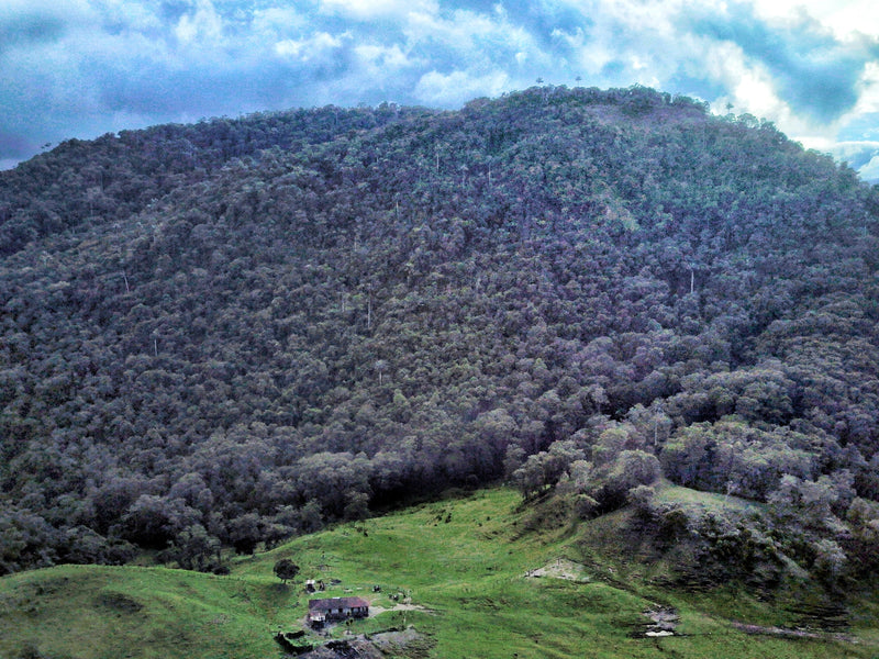 Tour al Volcán Machín