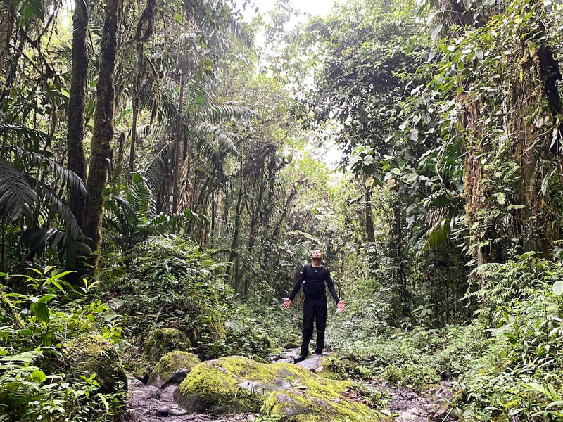 Tour a la cascada la pastora o cascada los chorros (pasadía)