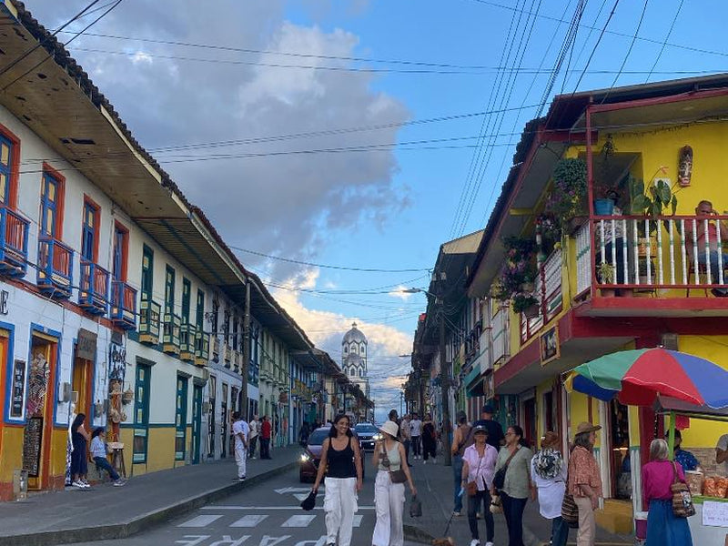 Salento, Valle del Cocora y Filandia (Pasadía)