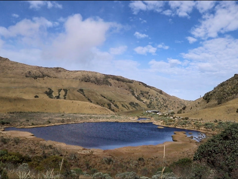 Laguna negra-nevado del ruiz