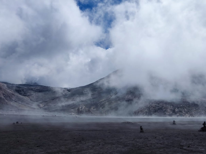 Tour Nevado del Ruiz, Pasadia